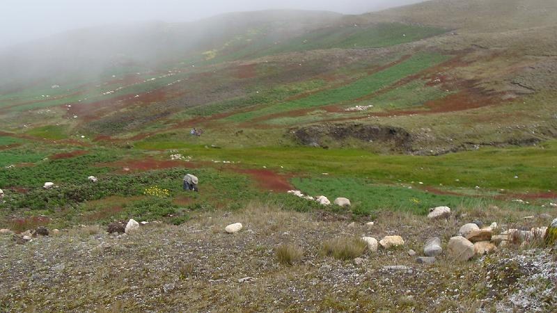 Illampu Trek Steves (179).JPG